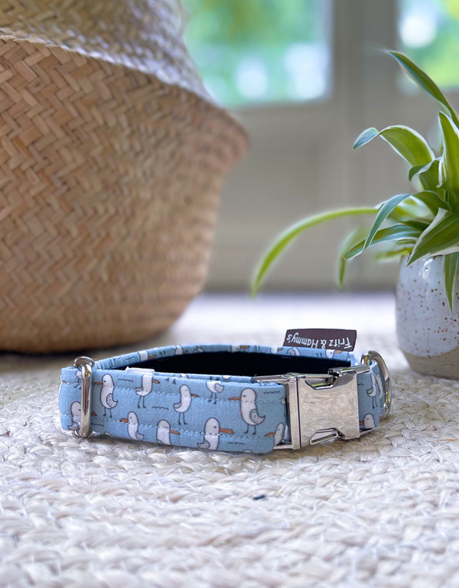 Dog Collar | Salty Paws Seagulls | seagull print blue