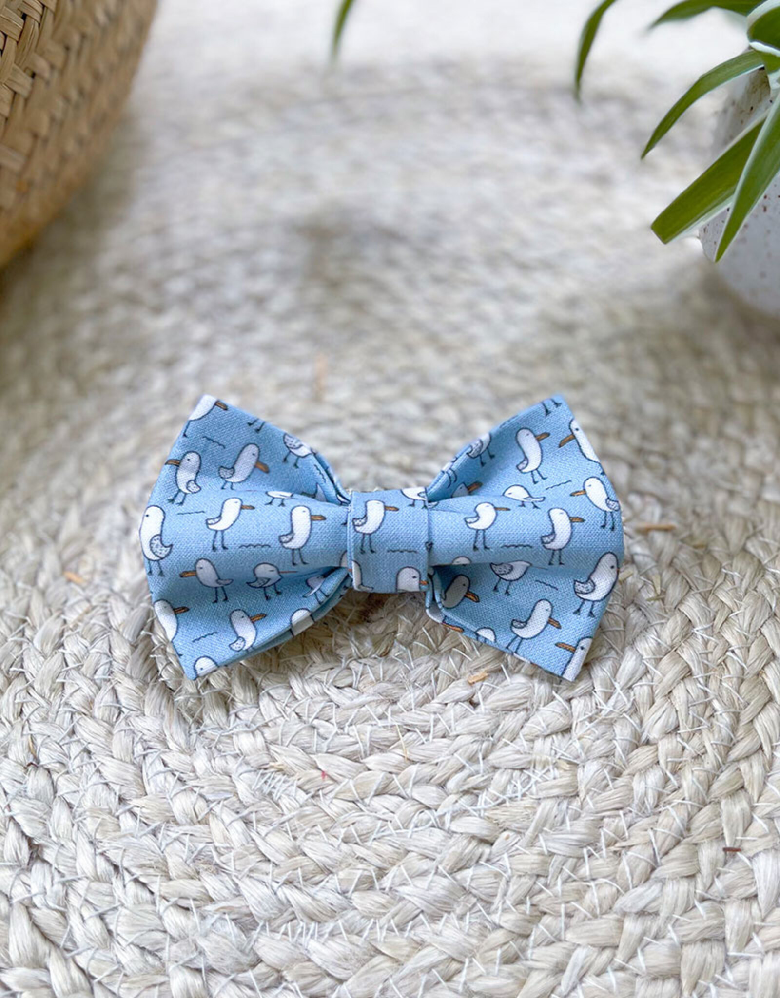 Strik voor honden | Salty Paws Seagulls