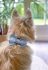 Strik voor honden | Salty Paws Seagulls
