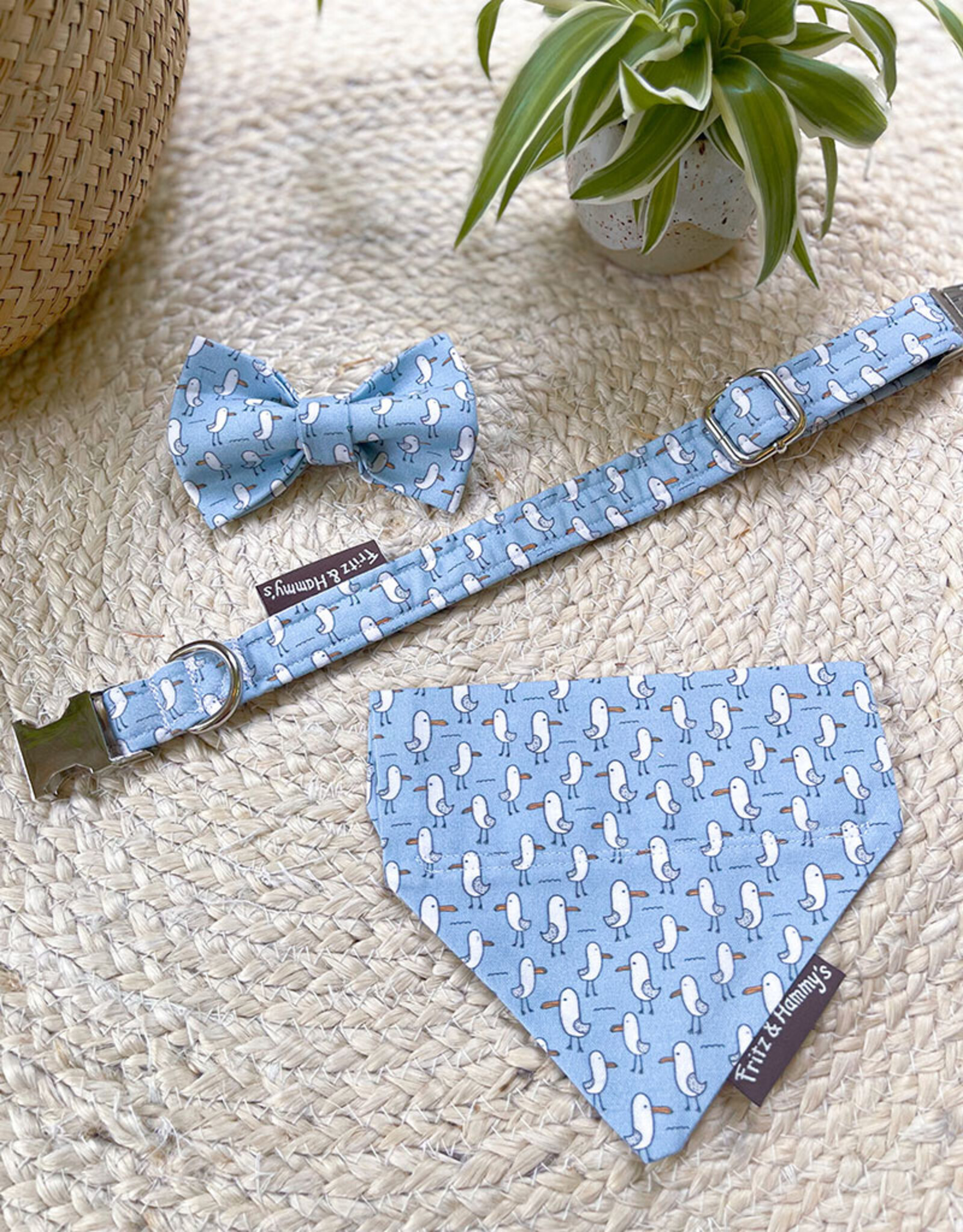 Strik voor honden | Salty Paws Seagulls