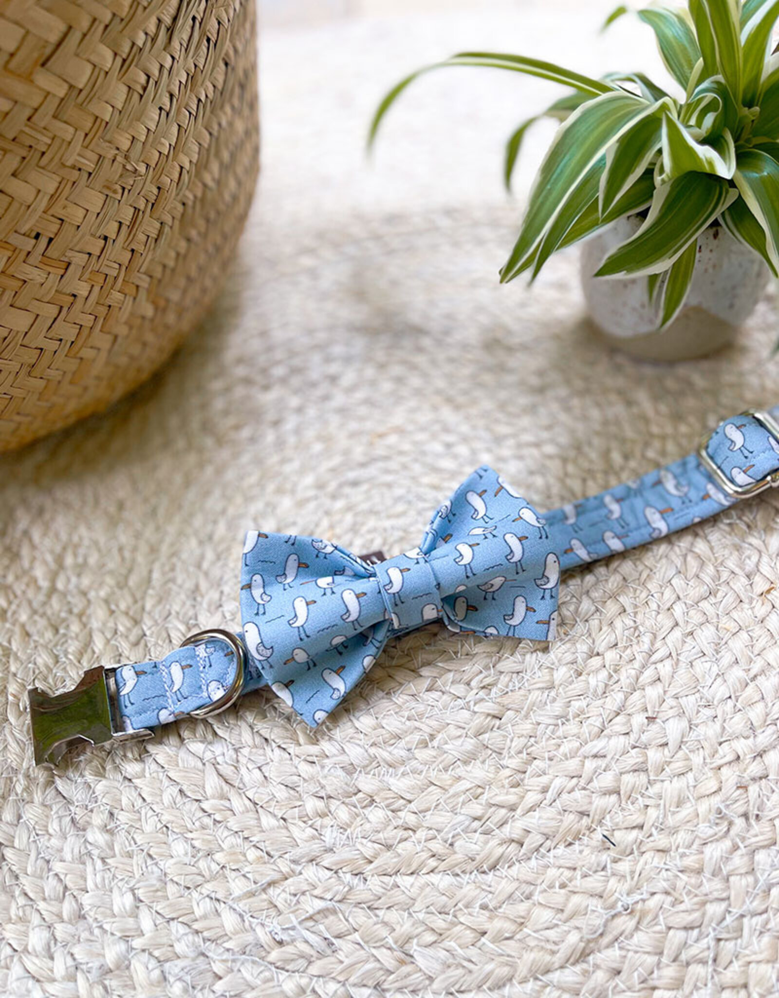 Strik voor honden | Salty Paws Seagulls