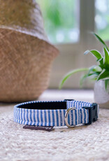Dog Collar | Capri Blue Stripe