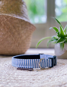 Collar | Capri Blue Stripe