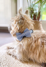Strik voor honden | Capri Blue Stripe