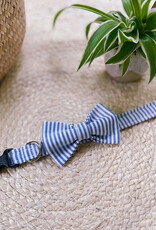Dog Bow Tie | Capri Blue Stripe