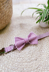 Dog Bow Tie | Cherry Pink Stripe