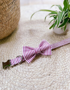 Strik | Cherry Pink Stripe