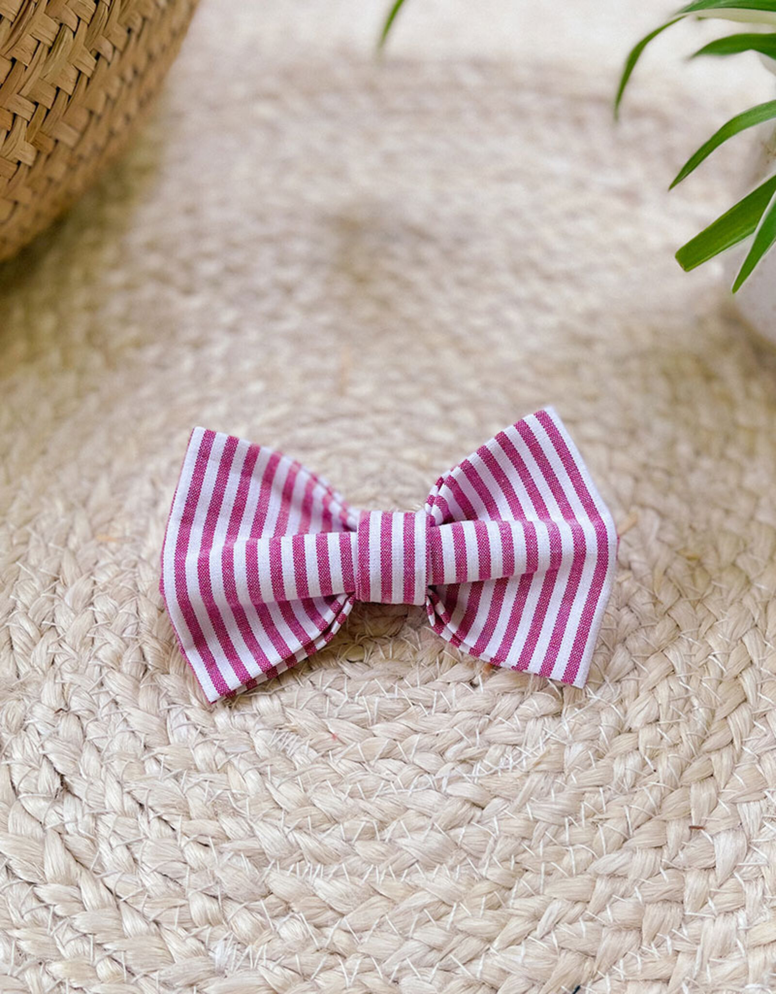 Strik voor honden | Cherry Pink Stripe