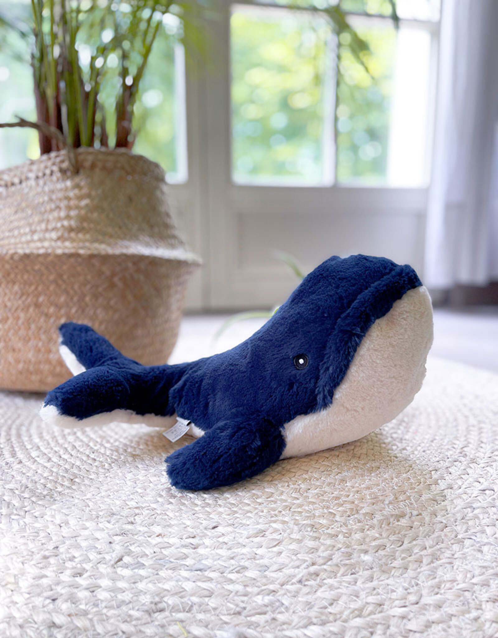 Walter the Whale with a Splash Phobia (XL)
