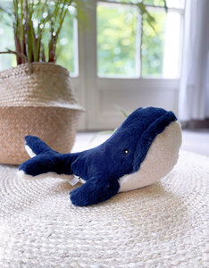 Walter de Walvis met watervrees (XL)