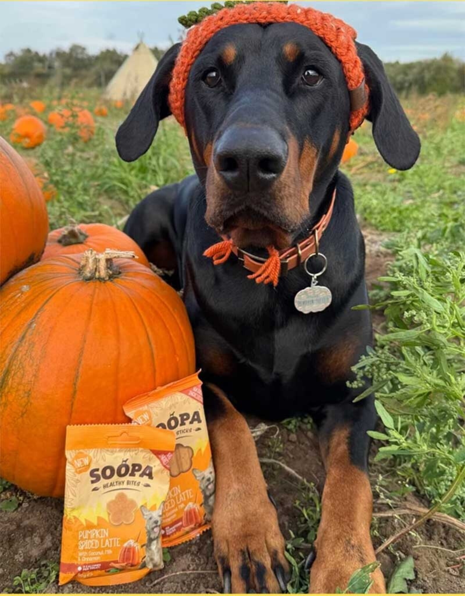 Soopa Soopa | Healthy Bites | Pumpkin Spiced Latte