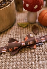 Strik voor honden | Pumpkin Spiced Latte