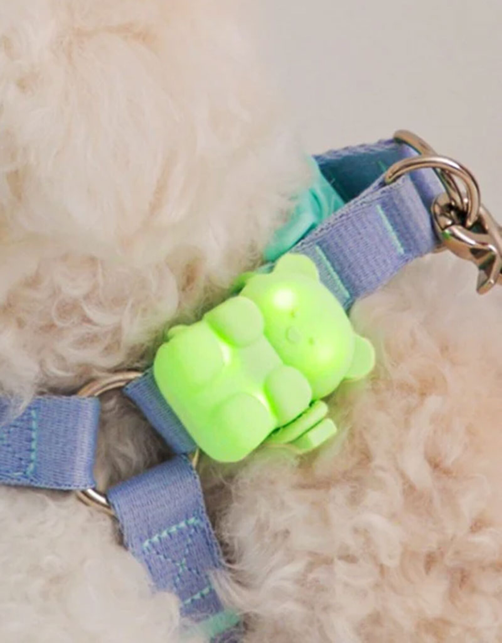 Oplaadbaar veiligheidslichtje voor honden | Jellybear LED | melon
