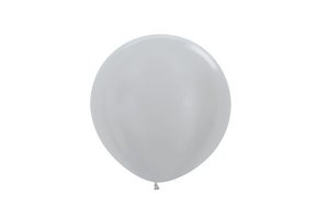 R24 - Pearl Silver 481 - 10 Stuks