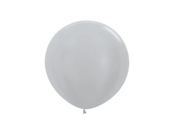 R24 - Pearl Silver 481 - 10 Stuks