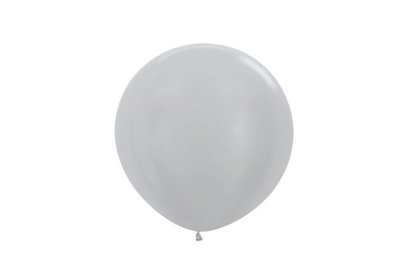 R24 - Pearl Silver 481 - 10 Stuks