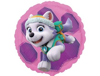 Paw Patrol - Skye & Everest - 18 inch - Anagram