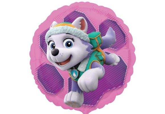 Paw Patrol - Skye & Everest - 18 inch - Anagram