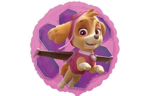 Paw Patrol Skye & Everest - A18"/45 cm