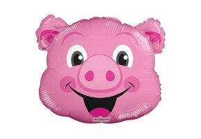 MICRO - Happy Pig - 14 inch - Kaleidoscope