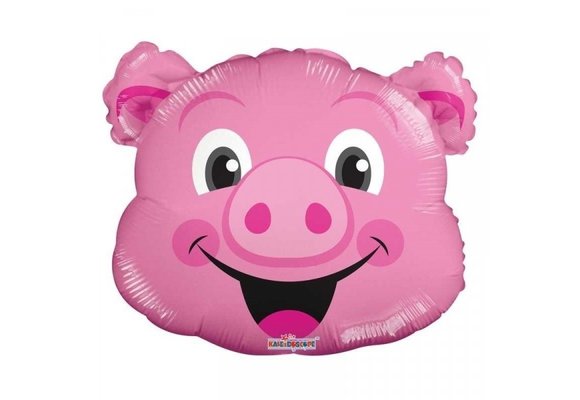 MICRO - Happy Pig - 14 inch - Kaleidoscoop