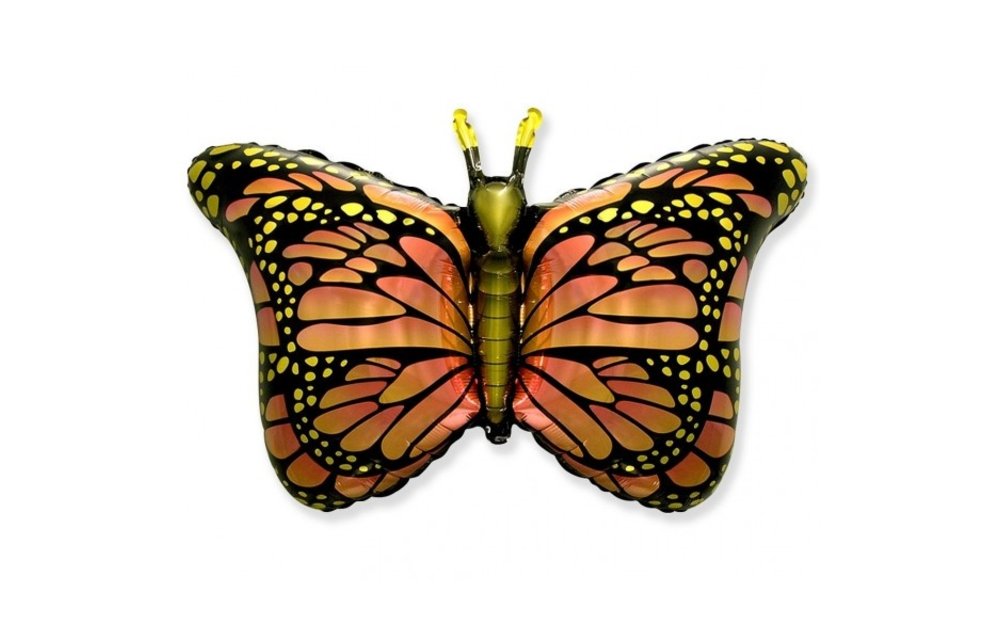 SALE > Butterfly Orange - 24 inch - Flex