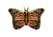 Butterfly Orange - 24 inch - Flex
