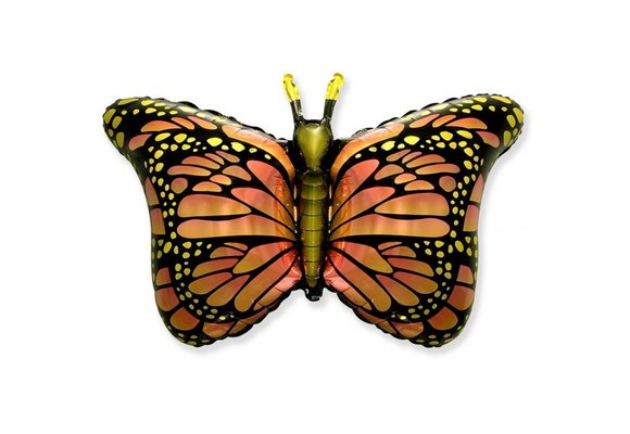 SALE > Butterfly Orange - 24 inch - Flex