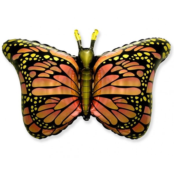 Butterfly Orange - 24 inch - Flex