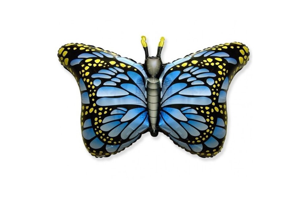 Butterfly Blue - 24 inch - Flex