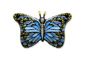 Butterfly Blue - 24 inch - Flex