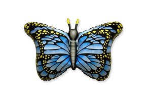 SALE > Butterfly Blue - 24 inch - Flex