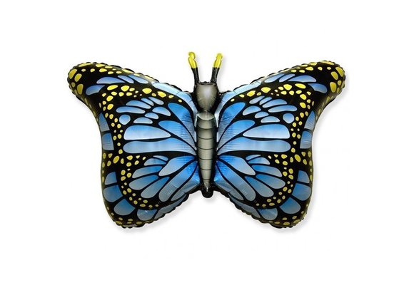 Butterfly Blue - 24 inch - Flex