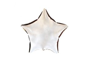 SALE > Star - Silver - 9inch/22cm - Flex - 5 stuks