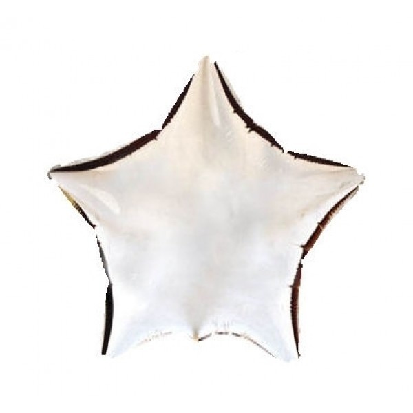 SALE > Star - Silver - FX9"/22cm - leeg - 5 stuks