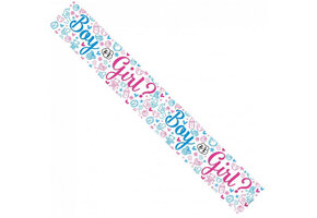SALE > Banner 2.6m - Boy or Girl ?