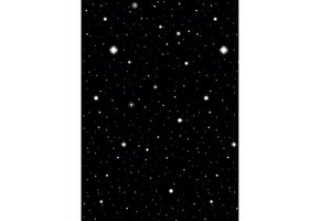 Scene Setter - Hollywood Nights - 1.22x15.24m