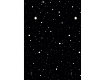 Scene Setter - Hollywood Nights - 1.22x15.24m