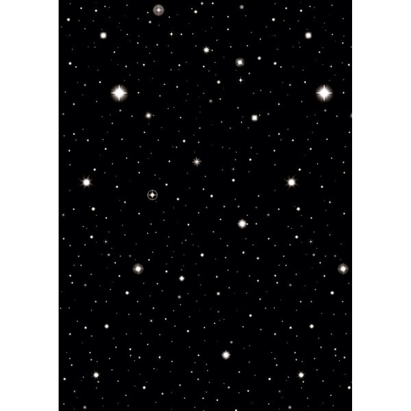 Scene Setter - Hollywood Nights - 1.22x15.24m