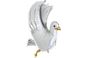 White Dove 3D/4D - 37 inch - Grabo
