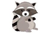 Raccoon - Woodland - B36"/91cm