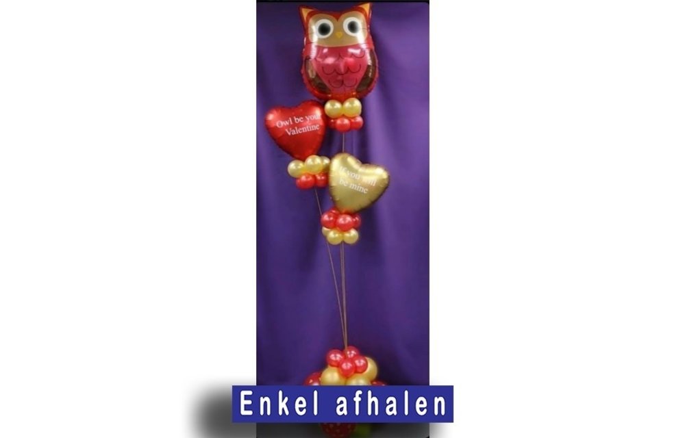 ADIPRO - Ballondraad - set van 3 lengtes - enkel afhalen