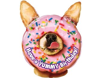 SALE > Yummy Birthday Donut Junior Shape - A35 x 45cm