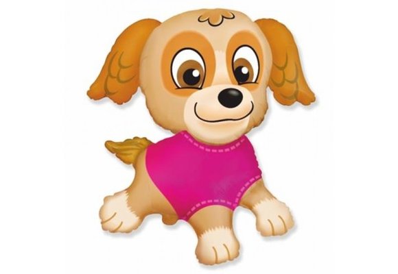 Paw Patrol - Skye Pink - 24inch - Flex