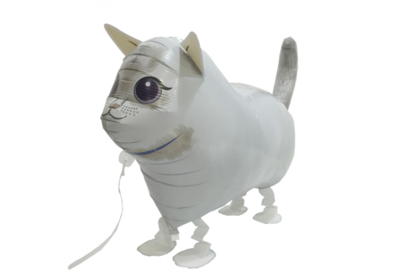 SALE > Walkie Kat Wit - 57cm