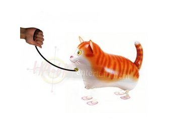 SALE > Walkie Kat - 60cm