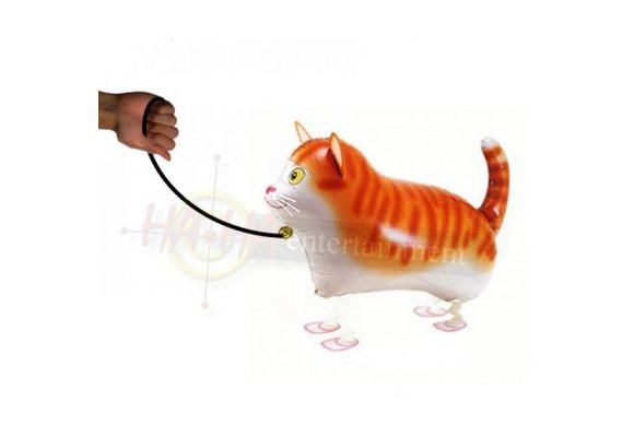 SALE > Walkie Kat - 60cm