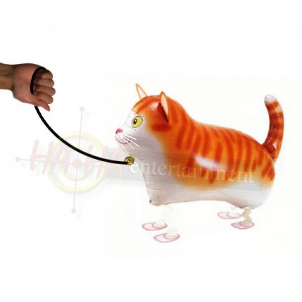 Walkie Kat - 60cm - SALE