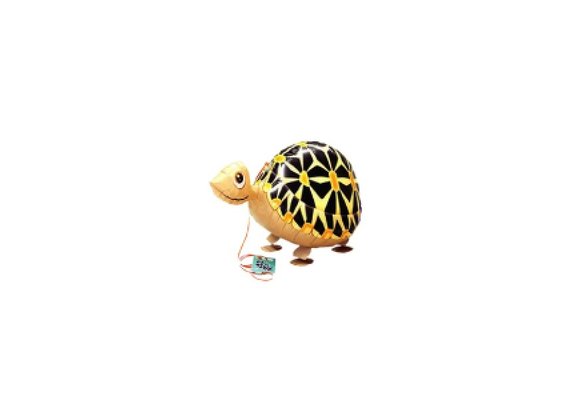 SALE > Walkie Schildpad - 57cm