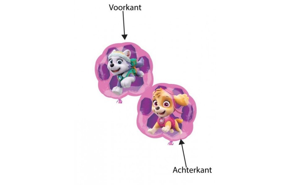 Paw Patrol Girls Skye & Everest - 63cm x 58cm - Anagram